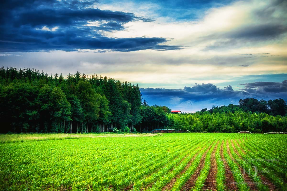 Landschaft Oberbayern