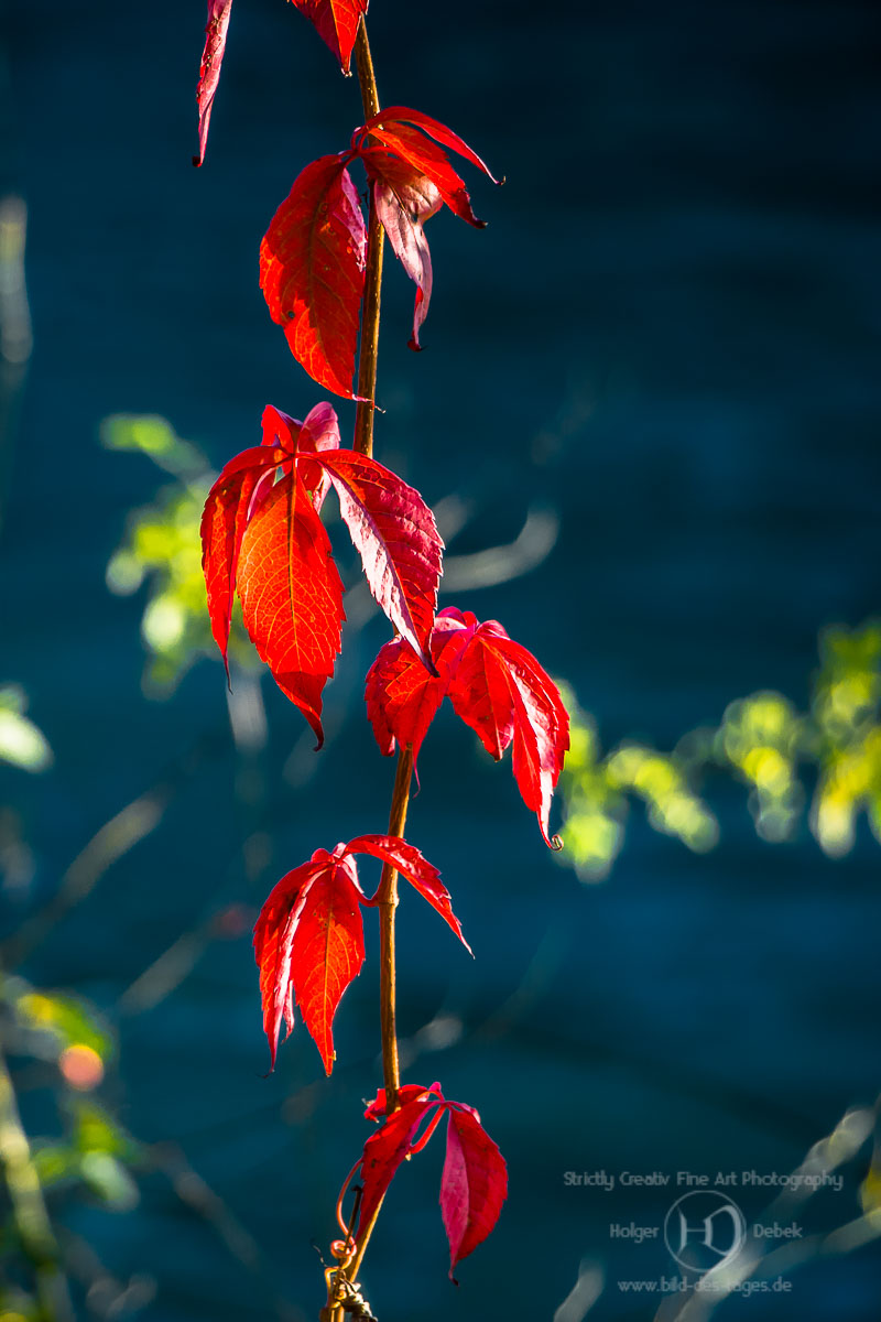 Wasserburg im Herbst