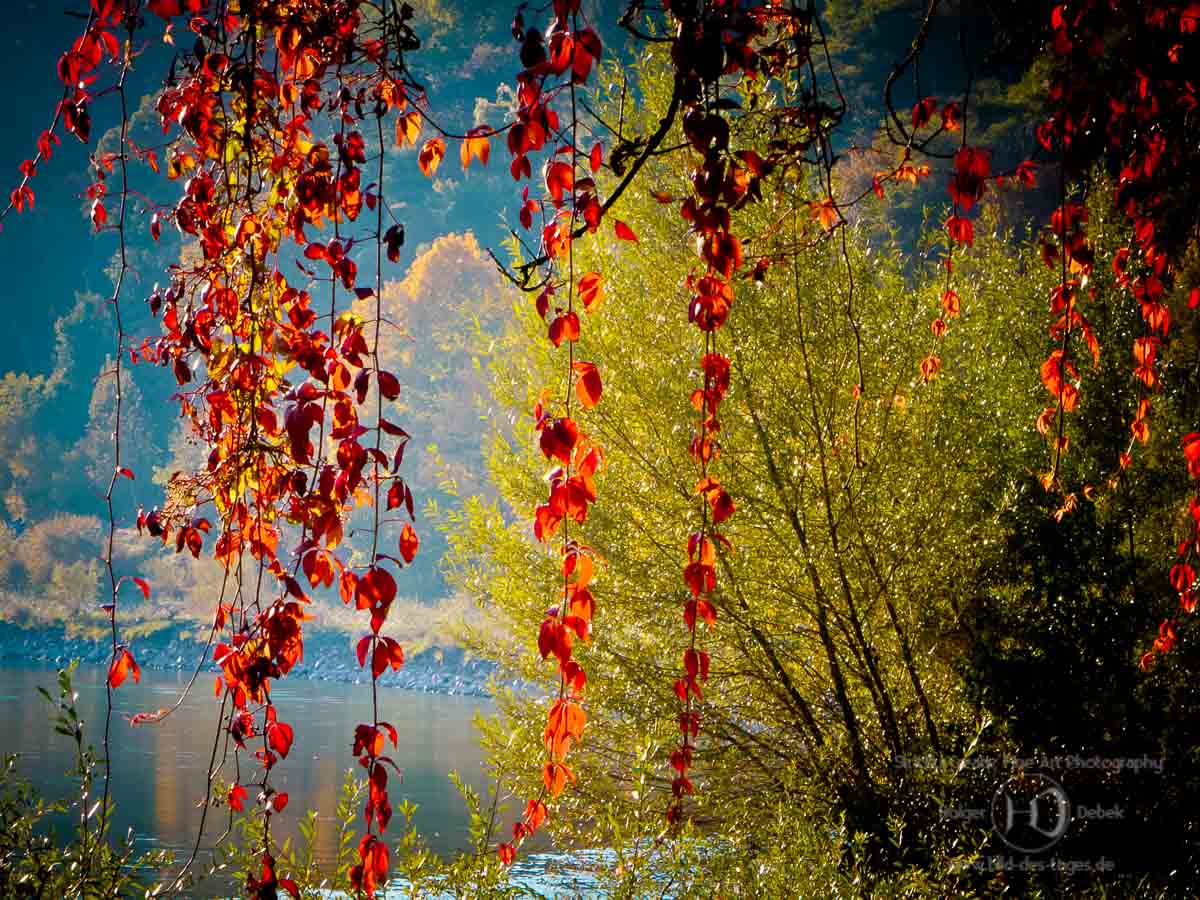 Herbst am Inn