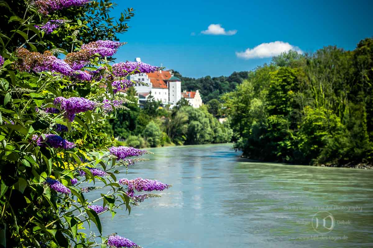 Sommer am Inn