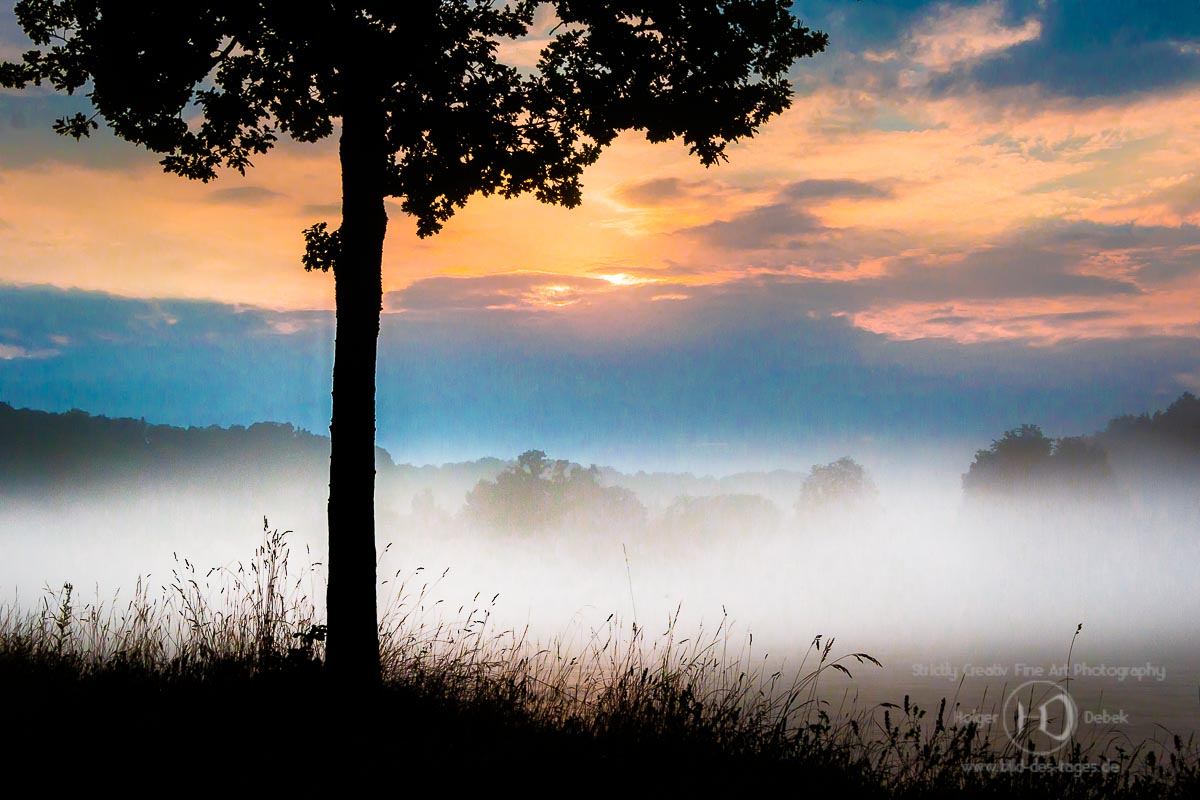 Nebel am Inn